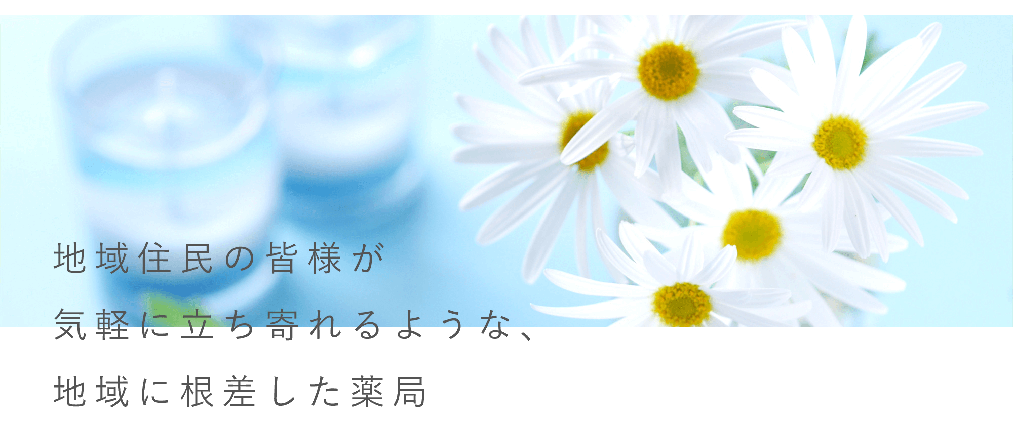 菊池市隈府 処方箋調剤 一般用医薬品等の販売 健康相談応需